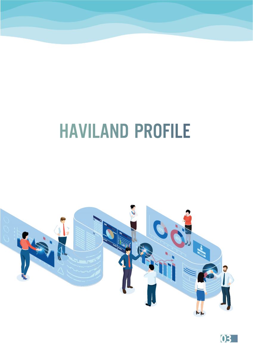 Lĩnh vực kinh doanh haviland 03